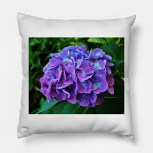 Purple Hydrangea Pillow