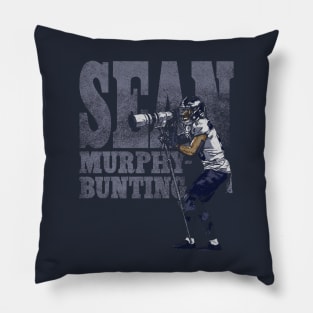 Sean Murphy-Bunting Tennessee Photographer Pillow