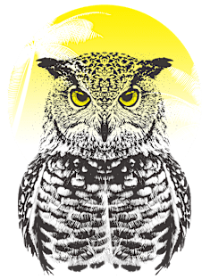 New moon owl Magnet