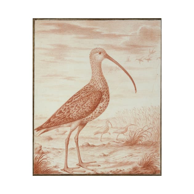 Curlews and Ducks by Nicolas Robert by Amanda1775