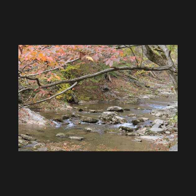 Autumn scene in Natural Bridge, Virginia by PurpleKittyCat