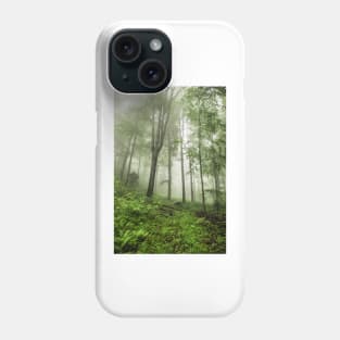 Beech forest Phone Case