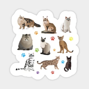 Various Beautiful Cats Magnet