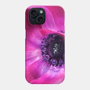 Purple poppy anemone Phone Case