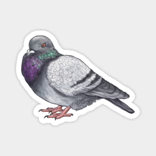 Fat Pigeon Magnet