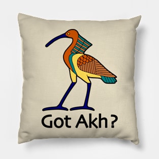 Got Akh? Ancient Eqyptian Meme Pillow