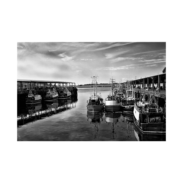 North Shields Fish Quay by Violaman