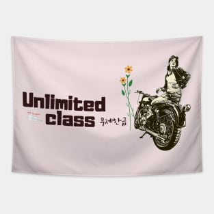 Unlimited class with Korean letters Tapestry