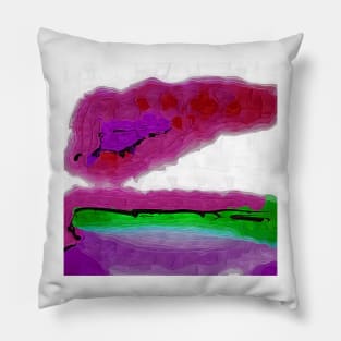 Pink Sherbert Pillow