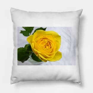 yellow rose Pillow