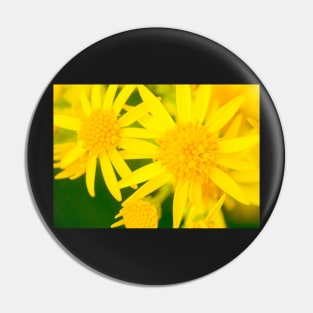 Yellow Flowers Pin