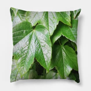 leaves after rain Pillow