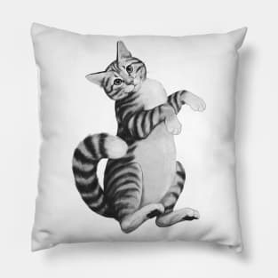 Calico Cat Pillow