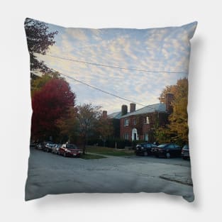 Autumn Scene in Columbus, Ohio Pillow