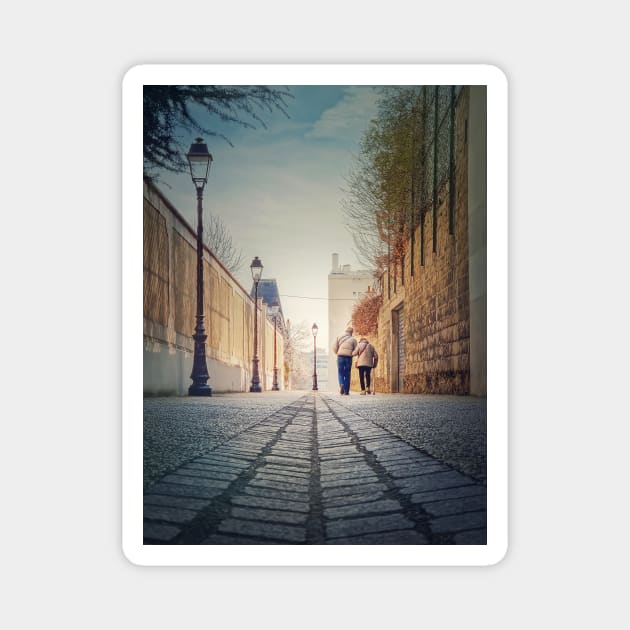 senior couple walking on the pedestrian alley Magnet by psychoshadow