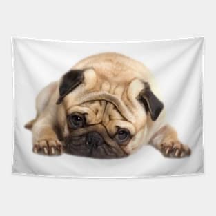 Cute Sleepy Pug Tapestry