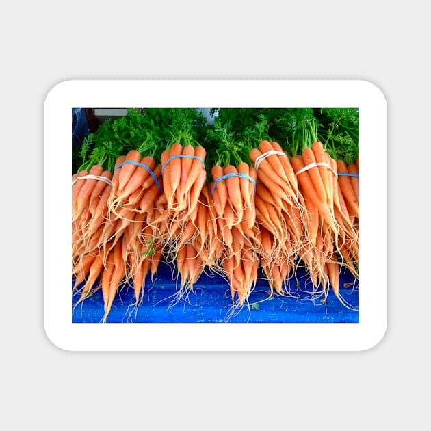 Bunches of Carrots in Santa Barbara Magnet by ephotocard