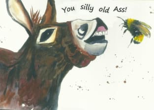 Silly Donkey, "You silly old Ass!" Magnet