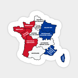 France Map Flag Magnet