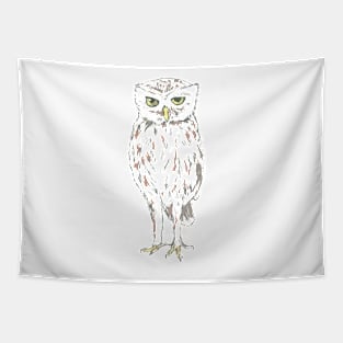 Judging Owl Tapestry