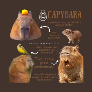 Animal Facts - Capybara T-Shirt