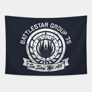 BSG 75 Distressed Tapestry