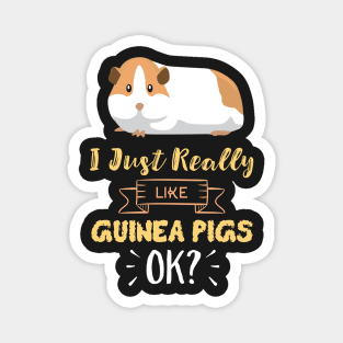 I Just Really Like Guinea Pigs OK? Funny Guinea Pig Magnet