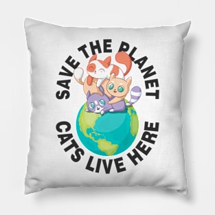 Kitty cat kitten Save the plane Pillow