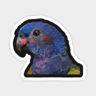 Blue-headed Parrot Magnet