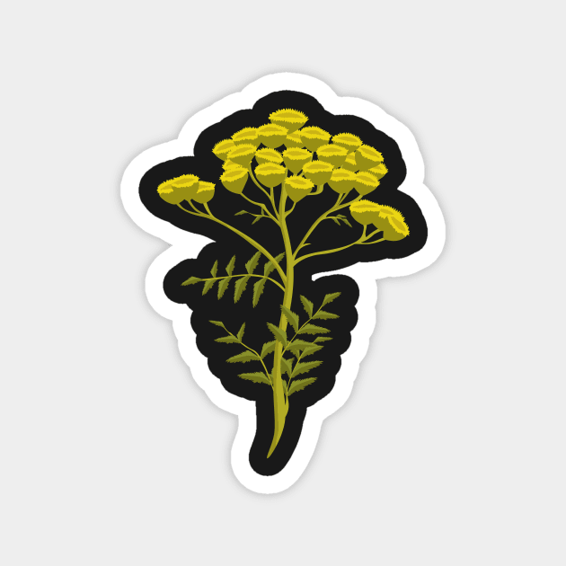 Tansy Flowers - Hand-painted Floral Artwork of the Herb Tansy Magnet by Thor