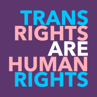 Trans Rights are Human Rights 2.0 T-Shirt