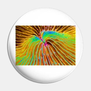 Mushroom coral, abstract image, (C052/8731) Pin