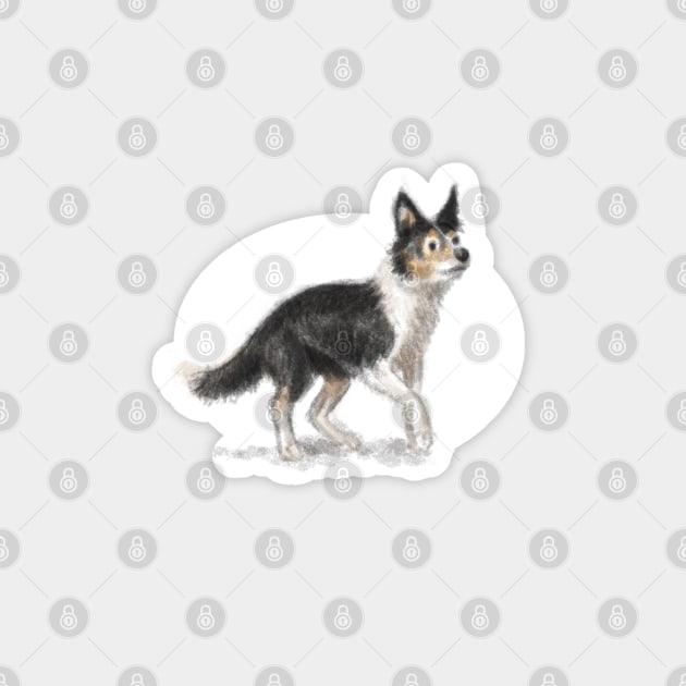 Collie Dog Magnet by Elspeth Rose Design