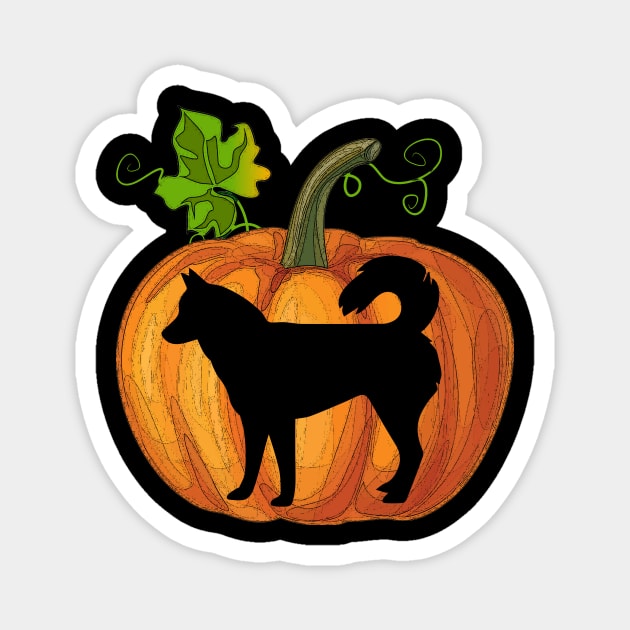 Siberian husky in pumpkin Magnet by Flavie Kertzmann