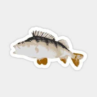 Perch multicolor design Magnet