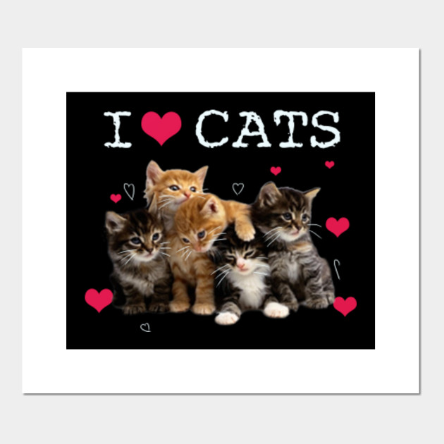 I Love Cats I Love Kittens Cat Lover T Shirt I Love Cats I Love