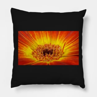 glowing bright coloured  gazania floral fantasy Pillow