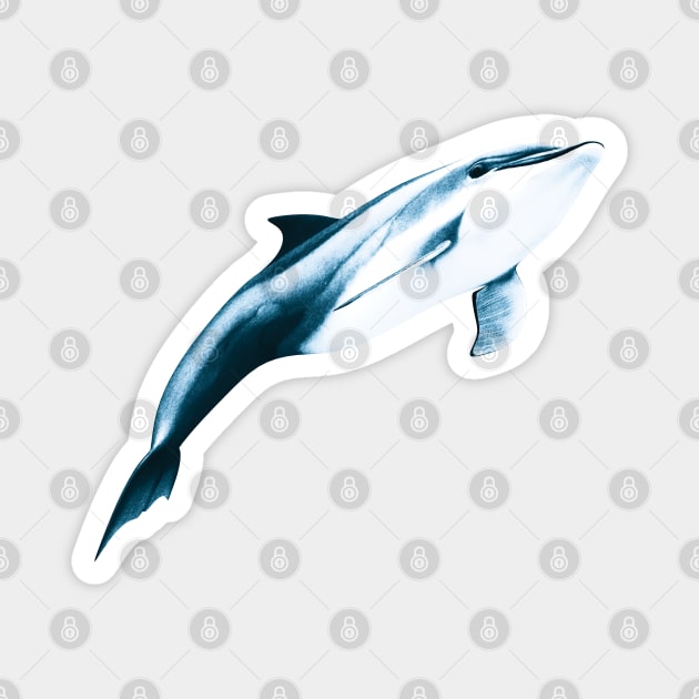 Dolphin Magnet by TMBTM