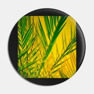 Plants Clicked In Front Of An Accent Yellow Background Pin