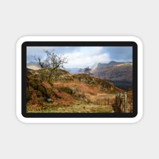 Holme Fell Fenceline Magnet