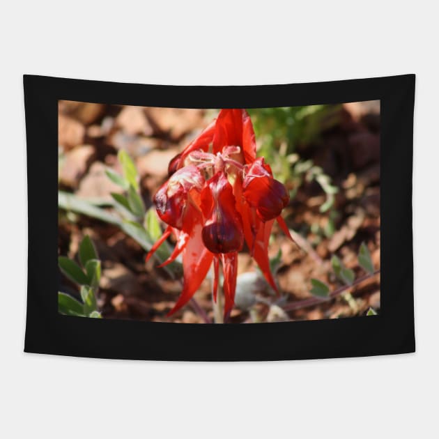 Sturt Desert Pea Tapestry by Andyt