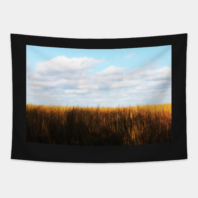 Amber Waves Tapestry by photoclique