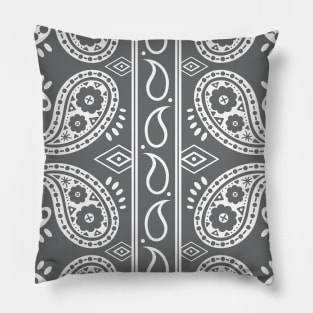 Paisley Pillow