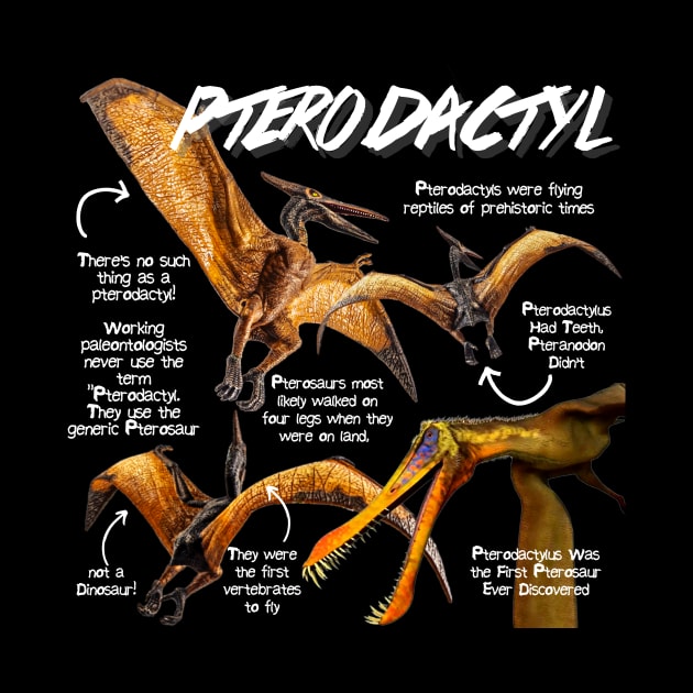 Pterodactyl Fun Facts by Animal Facts and Trivias