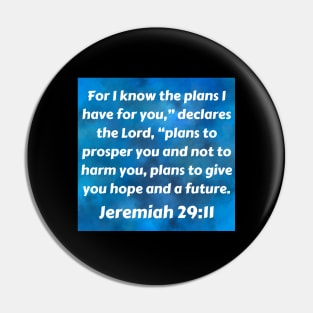 Bible Verse Jeremiah 29:11 Pin