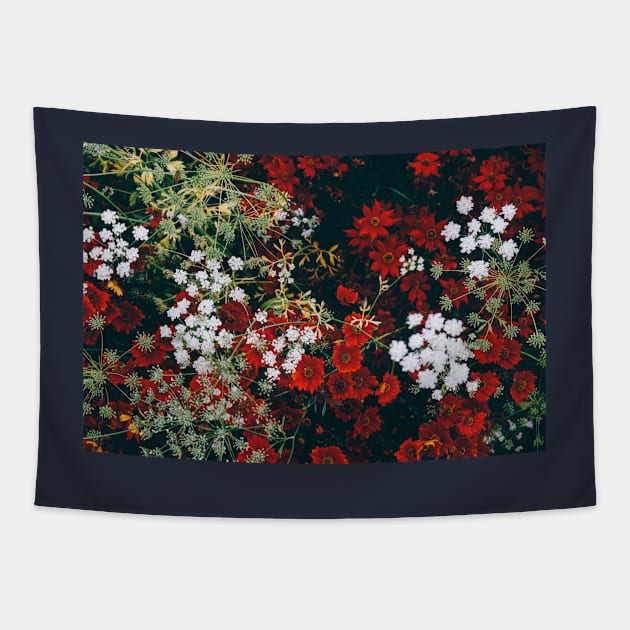 Red and white christmas flowers from above Tapestry by opptop