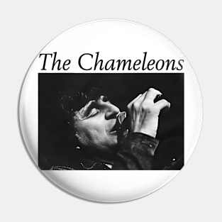 The Chameleons Band 1 Pin