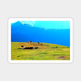 View at a Sibillini mountain ridge, meadows and bovines Magnet