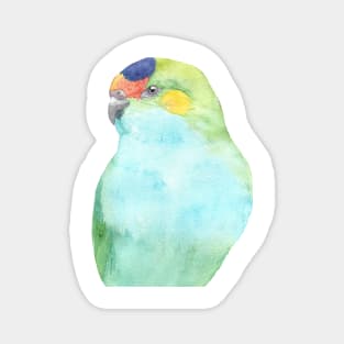 purple-crowned lorikeet watercolor portrait Magnet