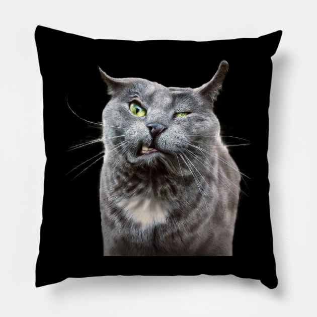 Angry Grey Cat Selfie Pillow by Random Galaxy